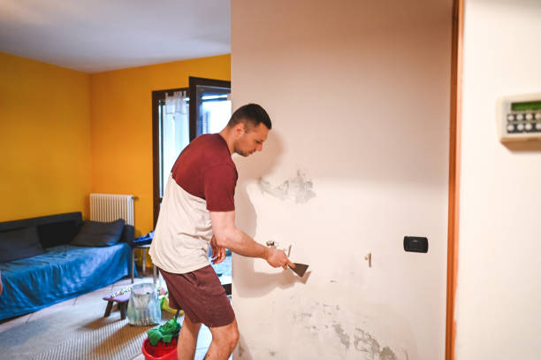 Crawl Space Mold Removal in Indian Hills, KY