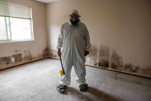 Mold Removal and Inspection in Indian Hills, KY